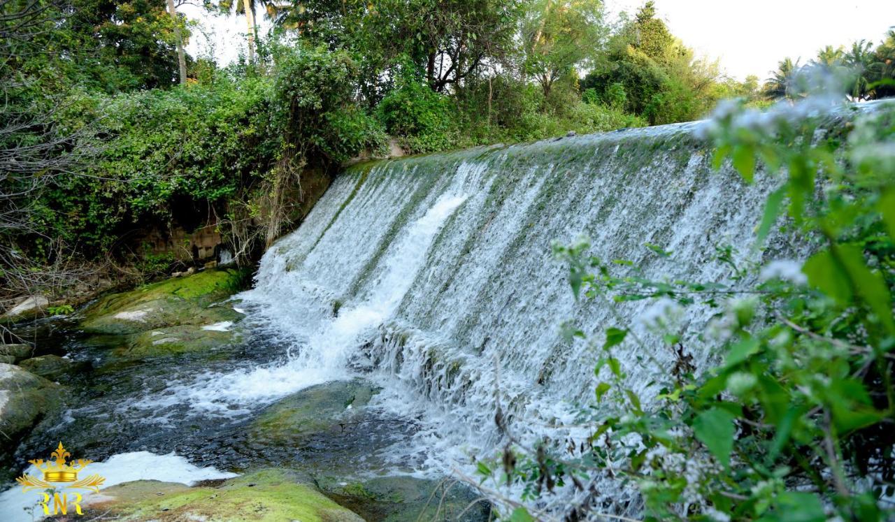 Royal Nature Resort Pollāchi Kültér fotó
